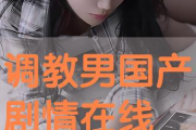 国产调教在线播放,揭秘在线播放背后的激情与魅力